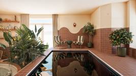 178151758224923820-picture.jpg