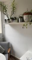 Wallis SOW - Essence & Design